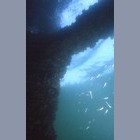 Arcachon sous marin